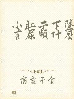 小肚子下坠胀痛有尿频什么原因