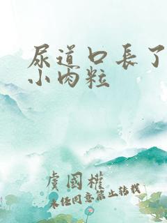 尿道口长了几个小肉粒