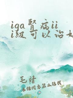 iga肾病iii级可以治好吗?
