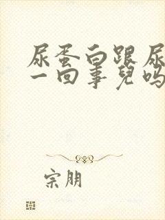 尿蛋白跟尿酸是一回事儿吗