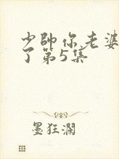 少帅你老婆又跑了第5集