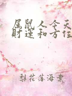 属鼠人今天打牌财运和方位