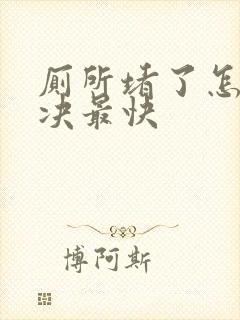 厕所堵了怎么解决最快