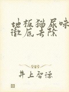 地板猫尿味怎么彻底去除