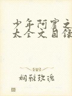 少年阿宾之房东太全文目录