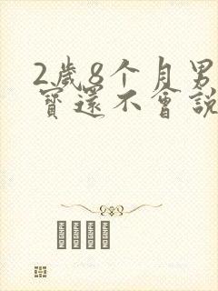 2岁8个月男宝宝还不会说话