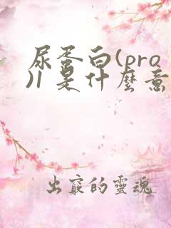 尿蛋白(pro)1 是什么意思