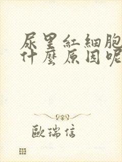 尿里红细胞高是什么原因呢