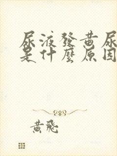 尿液发黄尿量少是什么原因