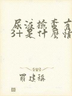 尿液检查有隐血3+是什么情况