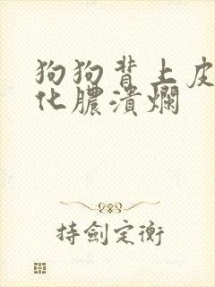 狗狗背上皮肤病化脓溃烂