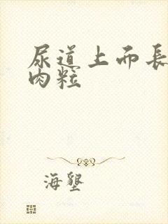 尿道上面长了小肉粒