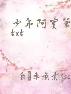 少年阿宾笔趣阁txt