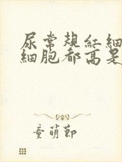 尿常规红细胞白细胞都高是咋回事