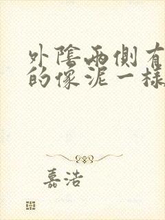 外阴两侧有白色的像泥一样的东西