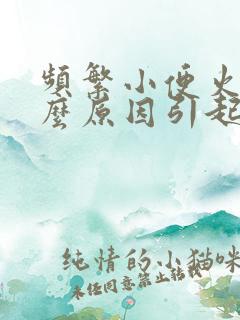 频繁小便火是什么原因引起的