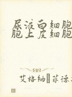 尿液白细胞红细胞上皮细胞高