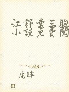 江舒棠三胞胎的小说免费阅读