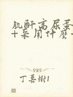 肌酐高尿蛋白2+采用什么方法治疗