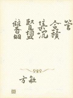 双肾集合管区结晶盐沉积