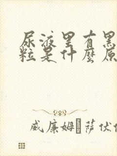 尿液里有黑色颗粒是什么原因