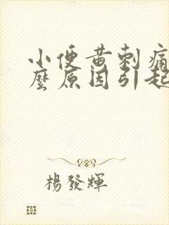 小便黄刺痛是什么原因引起的