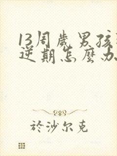 13周岁男孩叛逆期怎么办