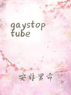 gaystoptube
