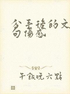 分手后的文案短句伤感