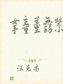 女主叶无双是杀手重生的小说