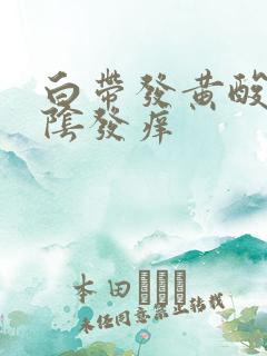 白带发黄酸味外阴发痒