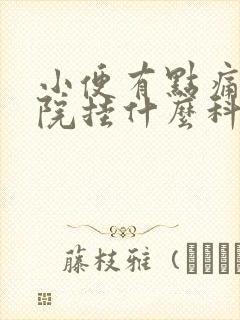 小便有点痛去医院挂什么科