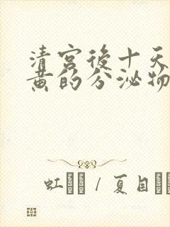 清宫后十天有黄黄的分泌物是什么