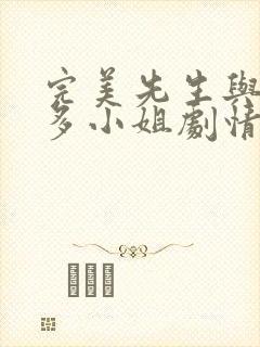 完美先生与差不多小姐剧情介绍