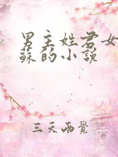 男主姓君女主姓苏的小说