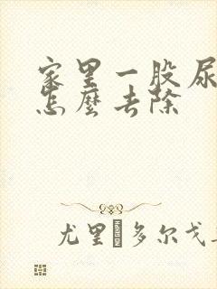 家里一股尿骚味怎么去除