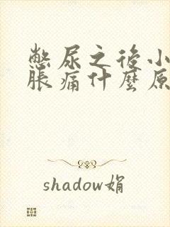 憋尿之后小肚子胀痛什么原因