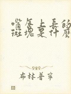 嘴唇上长的黑色斑块是什么是怎么回事