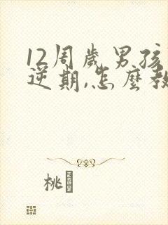 12周岁男孩叛逆期,怎么教育