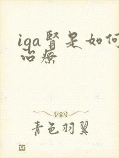 iga肾是如何治疗