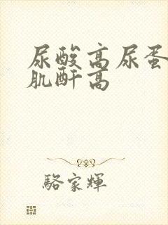 尿酸高尿蛋白高肌酐高