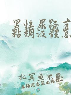 男性尿路有黄色粘稠液体怎么回事