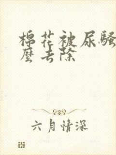 棉花被尿骚味怎么去除