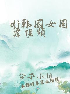 dj韩国女团跳舞视频