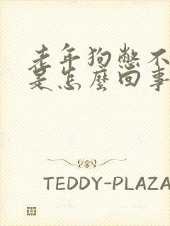 老年狗憋不住尿是怎么回事