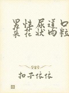 男性尿道口长出菜花状肉粒