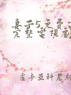 妻子5免费高清完整电视剧