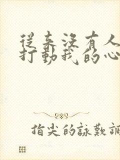 从来没有人如此打动我的心是什么歌