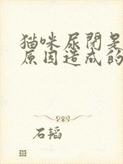 猫咪尿闭是什么原因造成的