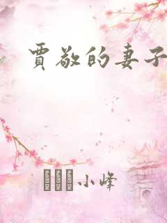 贾敬的妻子是谁